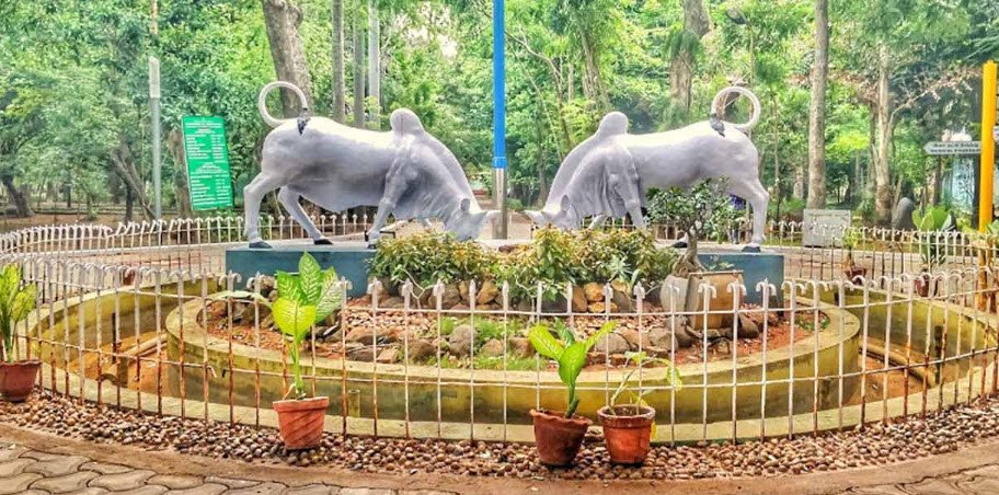Yanam Botanical Garden